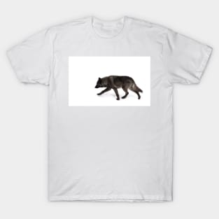 Black Wolf in winter T-Shirt